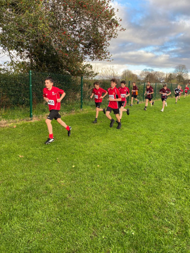 Cross Country 2