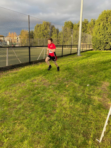 Cross Country 6