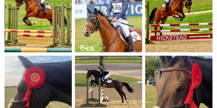 Equestrian Team Summer 2025