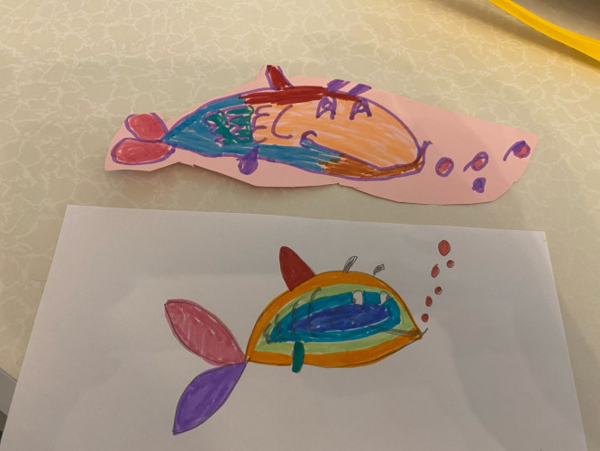 Flo's Fish Year 1