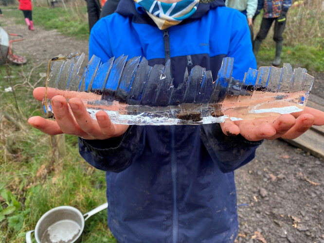 Forest School Year 5. 5