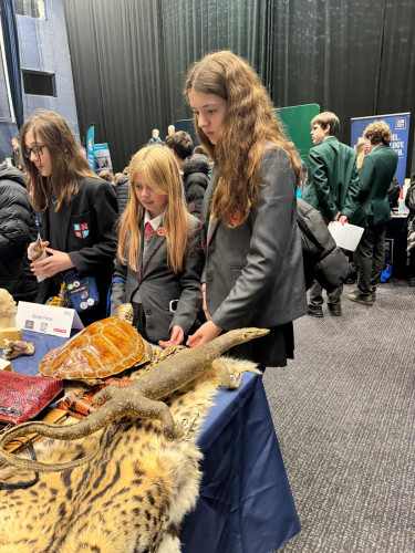 Photo 2026 01 15 13 38 07 4