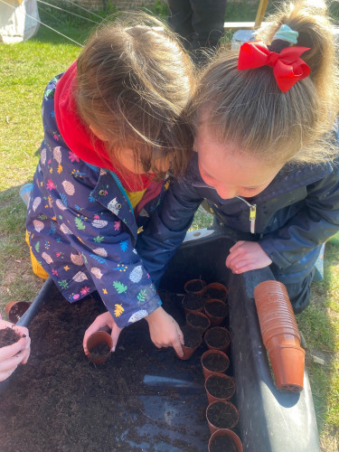 Planting Together