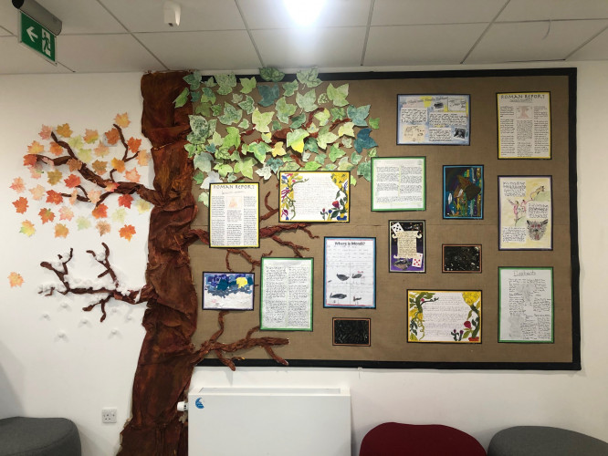 Primary Displays