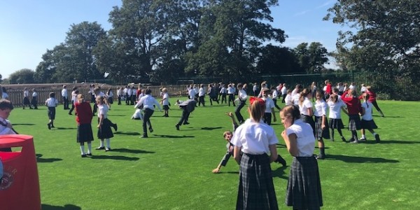 Primary Play