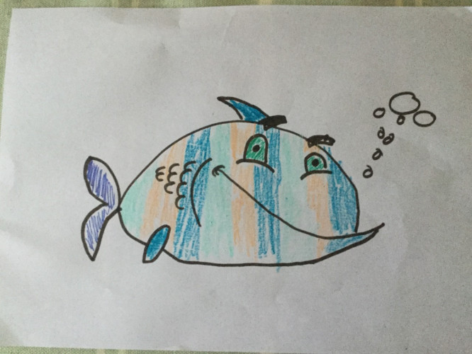 Sam's Fish Year 6