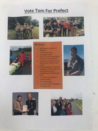 Voting Poster6
