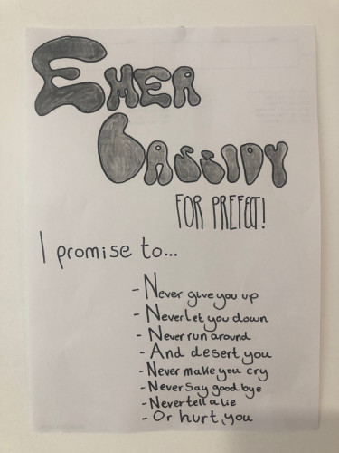 Voting Poster7