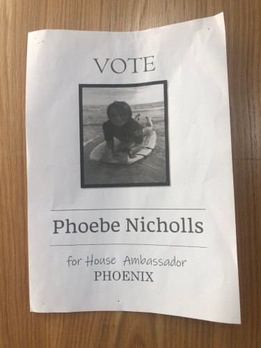 Voting Poster8