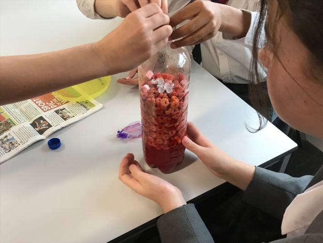 Year 6 Blood Experiment