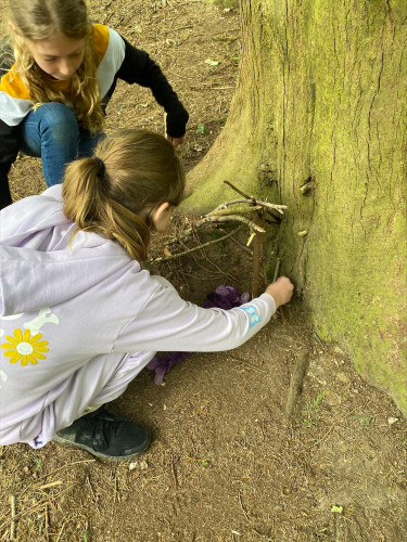 Year 6 Residential 6
