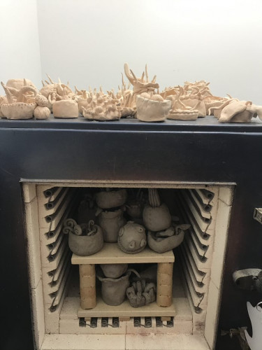 Year 9 Viruses In The Kiln