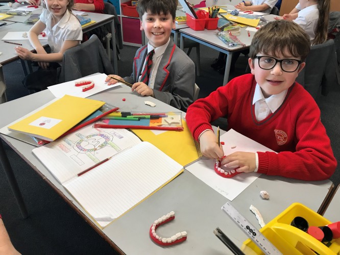 Yr 4 Teeth Modelling