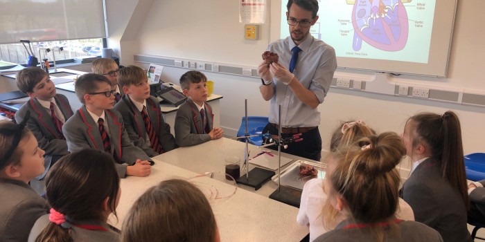 Yr 6 Heart Dissection5